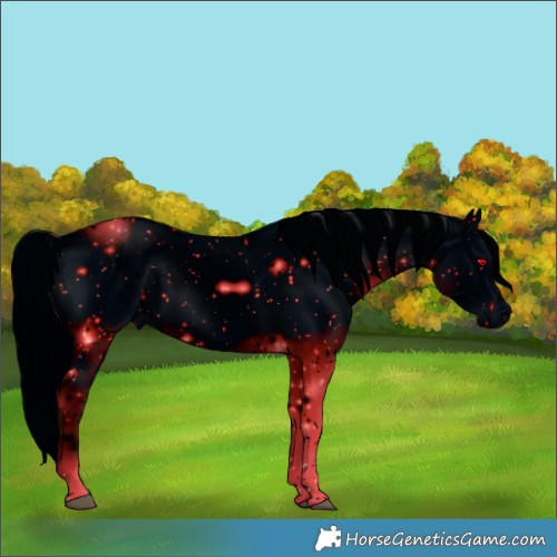 Horse Color:ERROR: UNKNOWN ANOMALY
