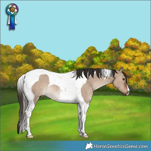 Horse Color:Liver Red Dun Tobiano Rabicano