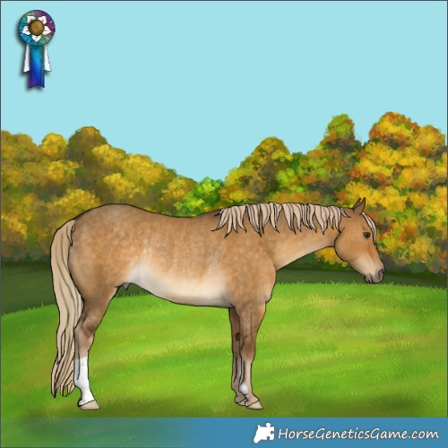 Horse Color:Chocolate Palomino Dun Rabicano