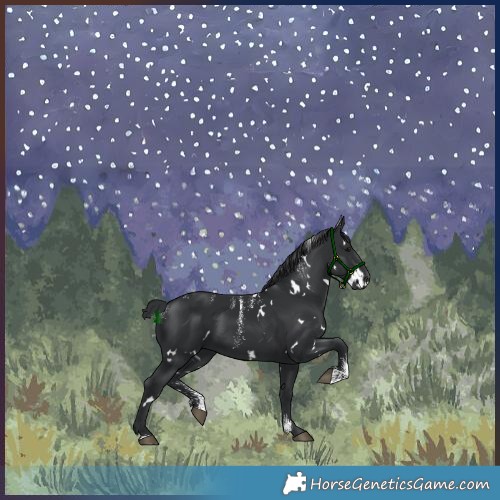Horse Color:Powder White White Spotted Black