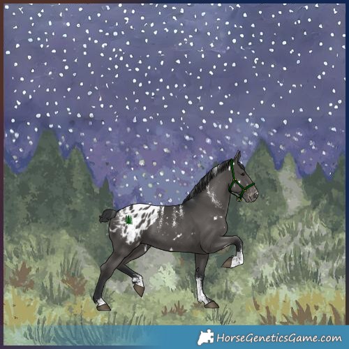 Horse Color:Powder White White Spotted Black Varnish