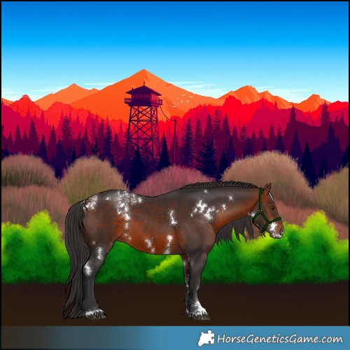 Horse Color:Powder White White Spotted Brown