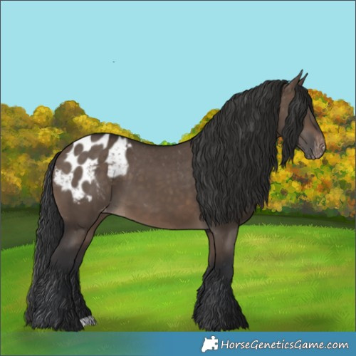 Horse Color:Brown Dun Varnish