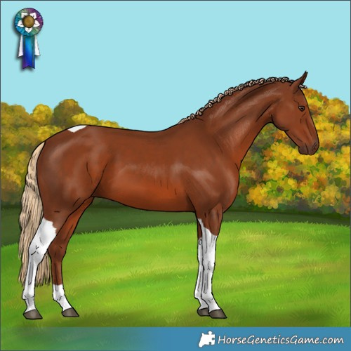 Horse Color:Chestnut Tobiano