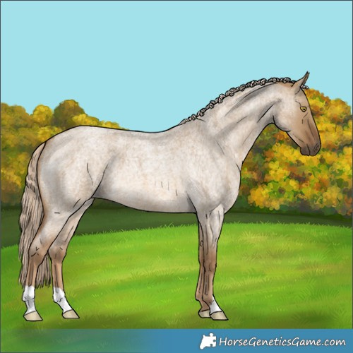 Horse Color:Chocolate Palomino Roan Dun