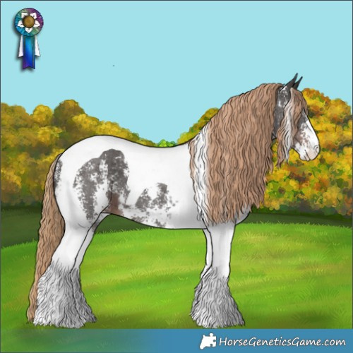 Horse Color:Liver Chestnut Sabino Tobiano