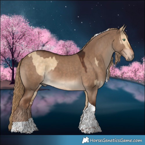 Horse Color:Chocolate Palomino Dun Tobiano and Liver Red Dun Tobiano