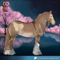 Horse Color:Chocolate Palomino Dun Tobiano  and Liver Red Dun Tobiano 