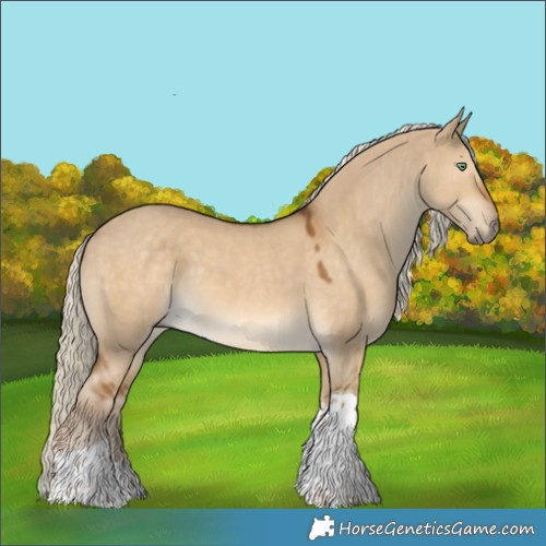 Horse Color:Chocolate Palomino Dun Tobiano