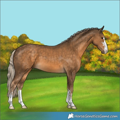 Horse Color:Chocolate Palomino