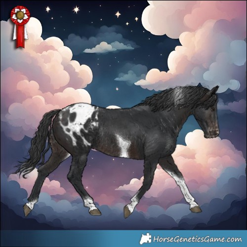 Horse Color:Brown Tobiano Blanket Rabicano