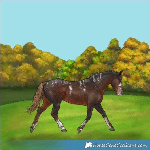 Horse Color:Powder White Liver Chestnut
