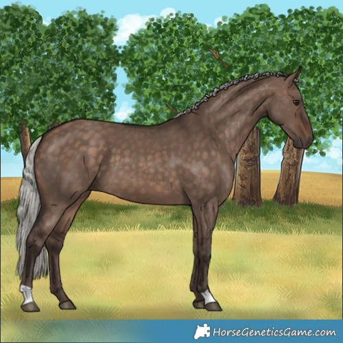 Horse Color:Silver Brown Dun 