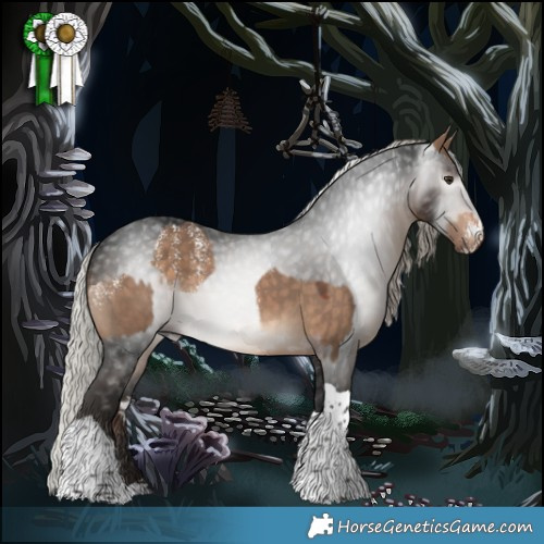 Horse Color:Powder White Silver Bay Dun  and Gray Silver Bay Tobiano 