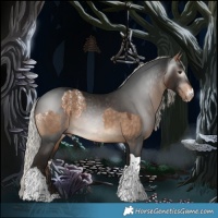 Horse Color:Powder White Silver Bay Dun and Gray Silver Bay Tobiano