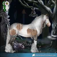 Horse Color:Powder White Silver Bay Dun  and Gray Silver Bay Tobiano 