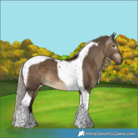Horse Color:Gray Silver Brown Dun Tobiano