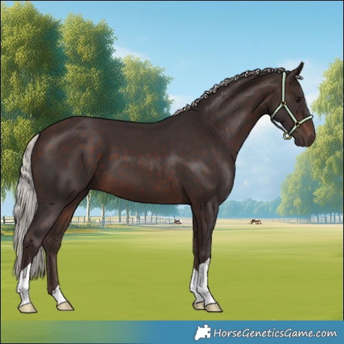 Horse Color:Silver Brown