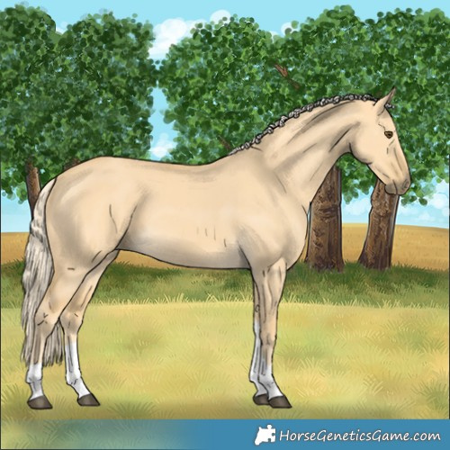 Horse Color:Palomino Dun Tobiano