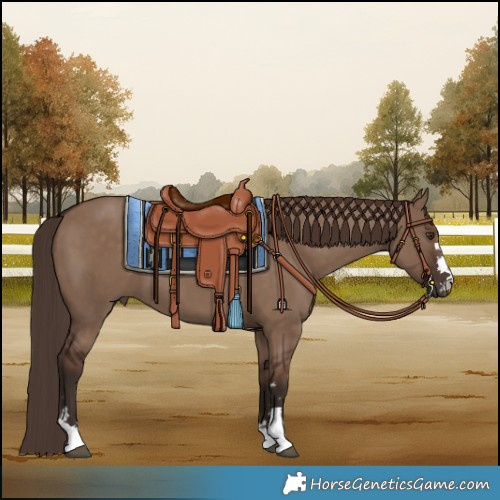 Horse Color:Liver Red Dun 