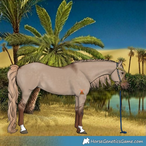 Horse Color:Liver Red Dun