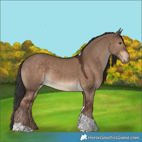 Horse Color:Liver Red Dun Tobiano