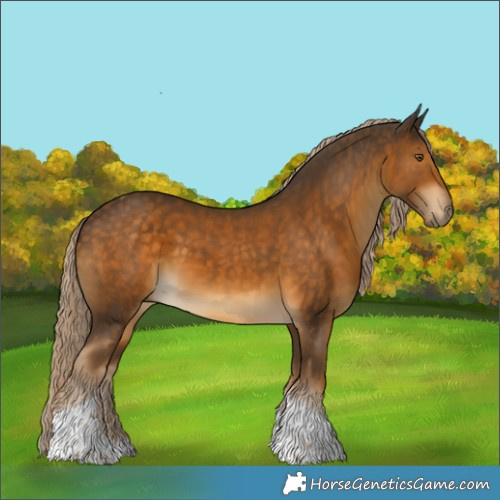 Horse Color:Chocolate Palomino Tobiano 
