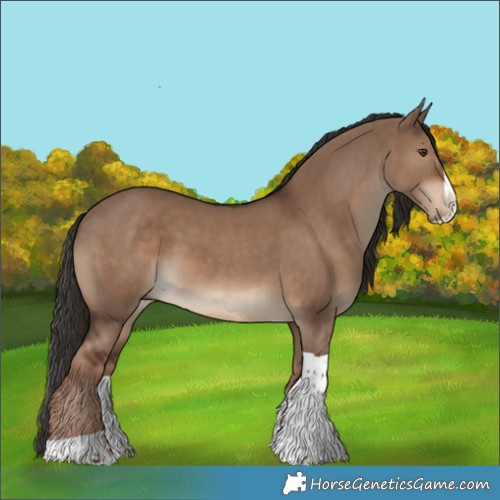 Horse Color:Liver Red Dun Splash Tobiano