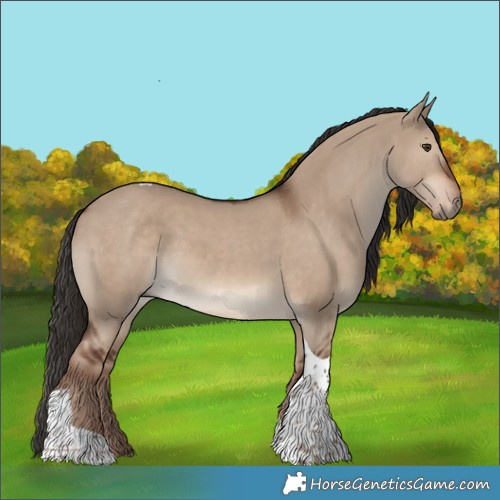 Horse Color:Liver Red Dun Tobiano 