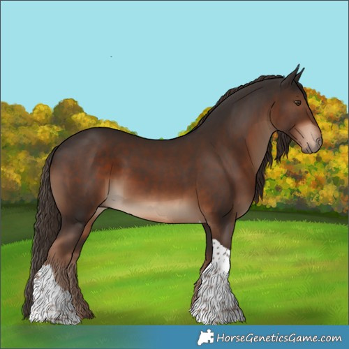 Horse Color:Liver Chestnut Tobiano