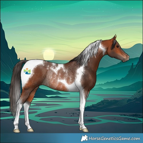 Horse Color:Bay Tobiano Rabicano