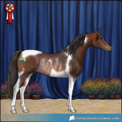 Horse Color:Bay Tobiano Rabicano