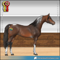 Horse Color:Bay Tobiano Rabicano 