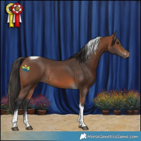 Horse Color:Bay Tobiano Rabicano