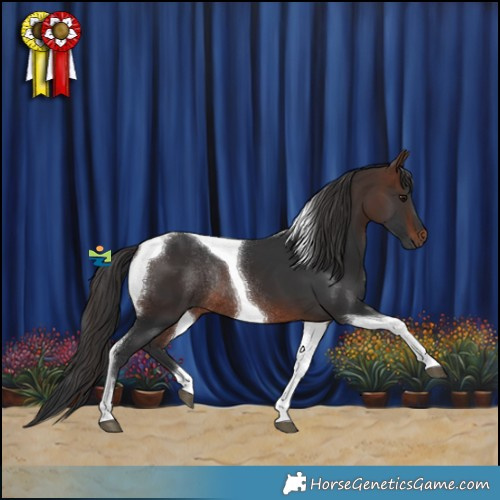 Horse Color:Brown Tobiano Rabicano