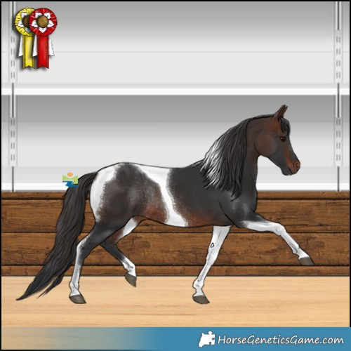 Horse Color:Brown Tobiano Rabicano 