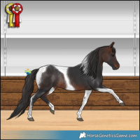 Horse Color:Brown Tobiano Rabicano 
