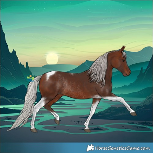 Horse Color:Silver Brown Tobiano Rabicano 