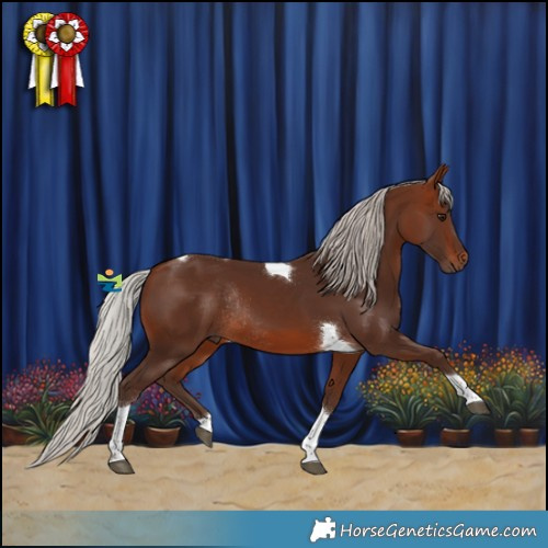 Horse Color:Silver Brown Tobiano Rabicano