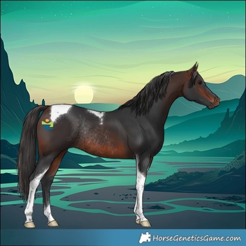 Horse Color:Brown Tobiano Rabicano