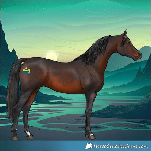 Horse Color:Brown 