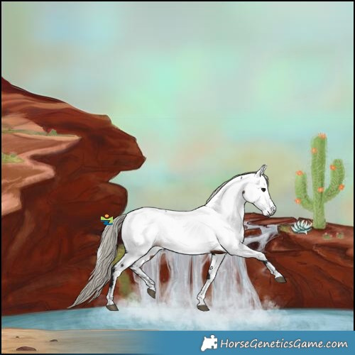 Horse Color:Powder White Gray Silver Brown Fewspot