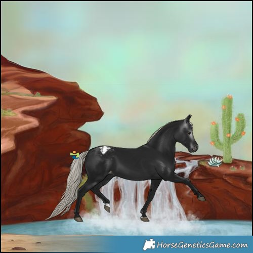 Horse Color:Gray Silver Brown Snowcap