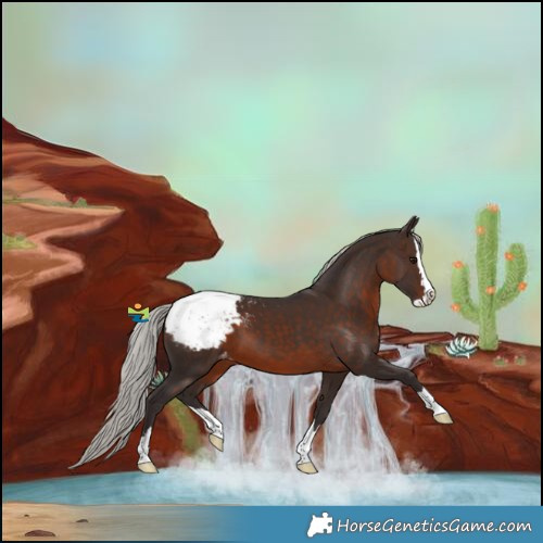 Horse Color:Silver Brown Splash Snowcap 
