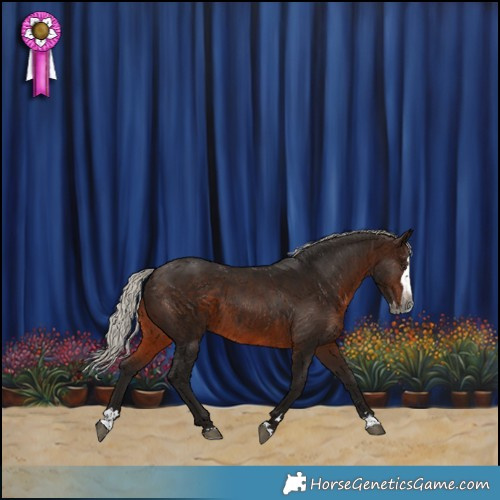 Horse Color:Gray Silver Bay Splash