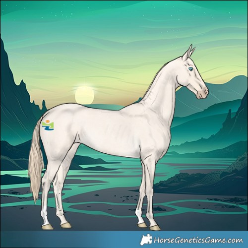 Horse Color:Perlino Roan