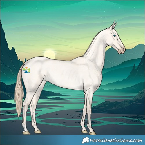 Horse Color:Perlino Roan Dun
