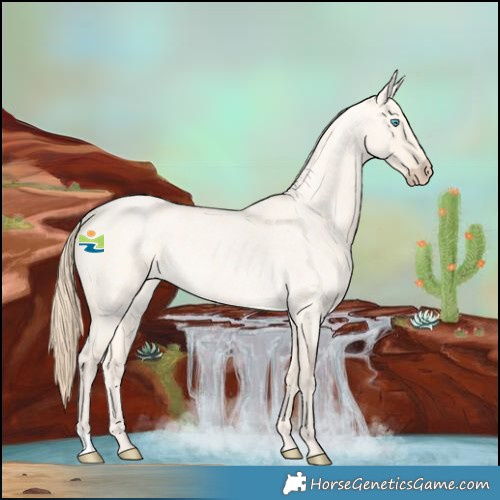 Horse Color:Perlino Roan Dun