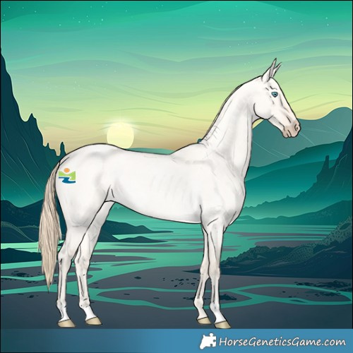 Horse Color:Perlino Roan Dun