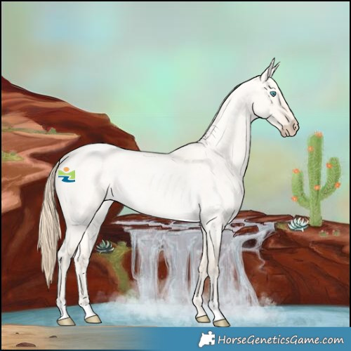 Horse Color:Perlino Roan Dun 